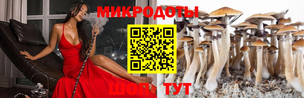 Заволжье  Галлюциногенные грибы прущие грибы  Вход с VPN 